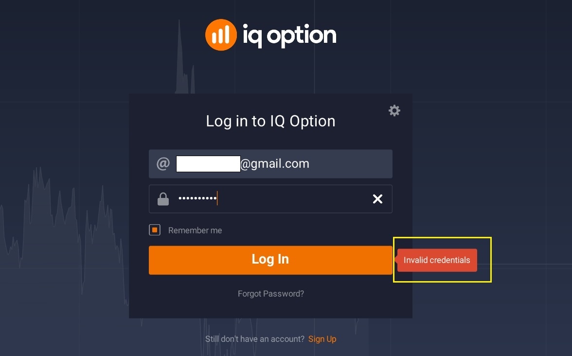 Erro de login na IQ Option