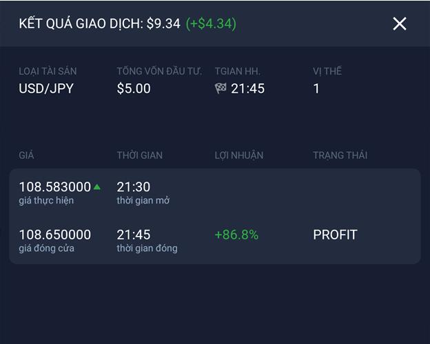 Risultato della transazione IQ Option