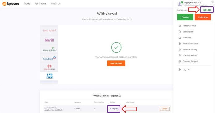 IQ Option 출금 요청 진행 중