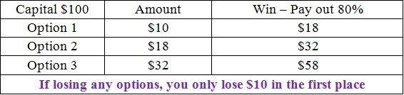 Styringsstrategi for Snowball Capital