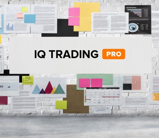 How to make a trading plan for new traders in IQ Option