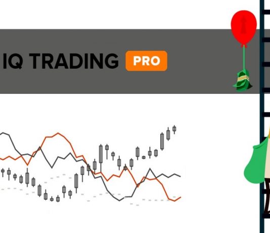 Traders Sentiment - Unique trading strategy only in IQ Option